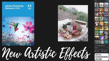 How to use Artistic Effects in Photoshop Elements 2024