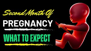 Second Month of Pregnancy What to Expect