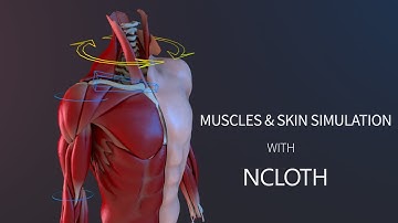 Torso muscles & skin simulation with nCloth  -  02 Ribbon spine rig
