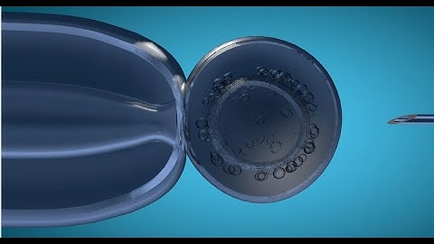 Micro Injection To The Cell