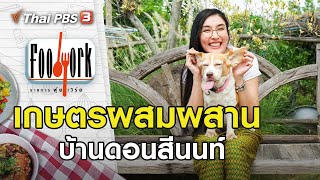 เกษตรผสมผสานบ้านดอนสีนนท์ : Foodwork (18 ต.ค. 63)