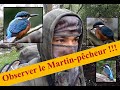 Observer le Martin-pêcheur ! MAGNIFIQUE !