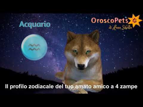 Video: Combinazione Di Oroscopi: Cane-Acquario