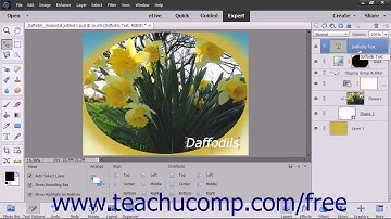 Photoshop Elements 2018 Tutorial Renaming Layers and Deleting Layers Adobe Training
