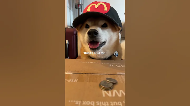 Min Wage Worker goes FERAL on Karen customer. #shibainu #shibagonewild