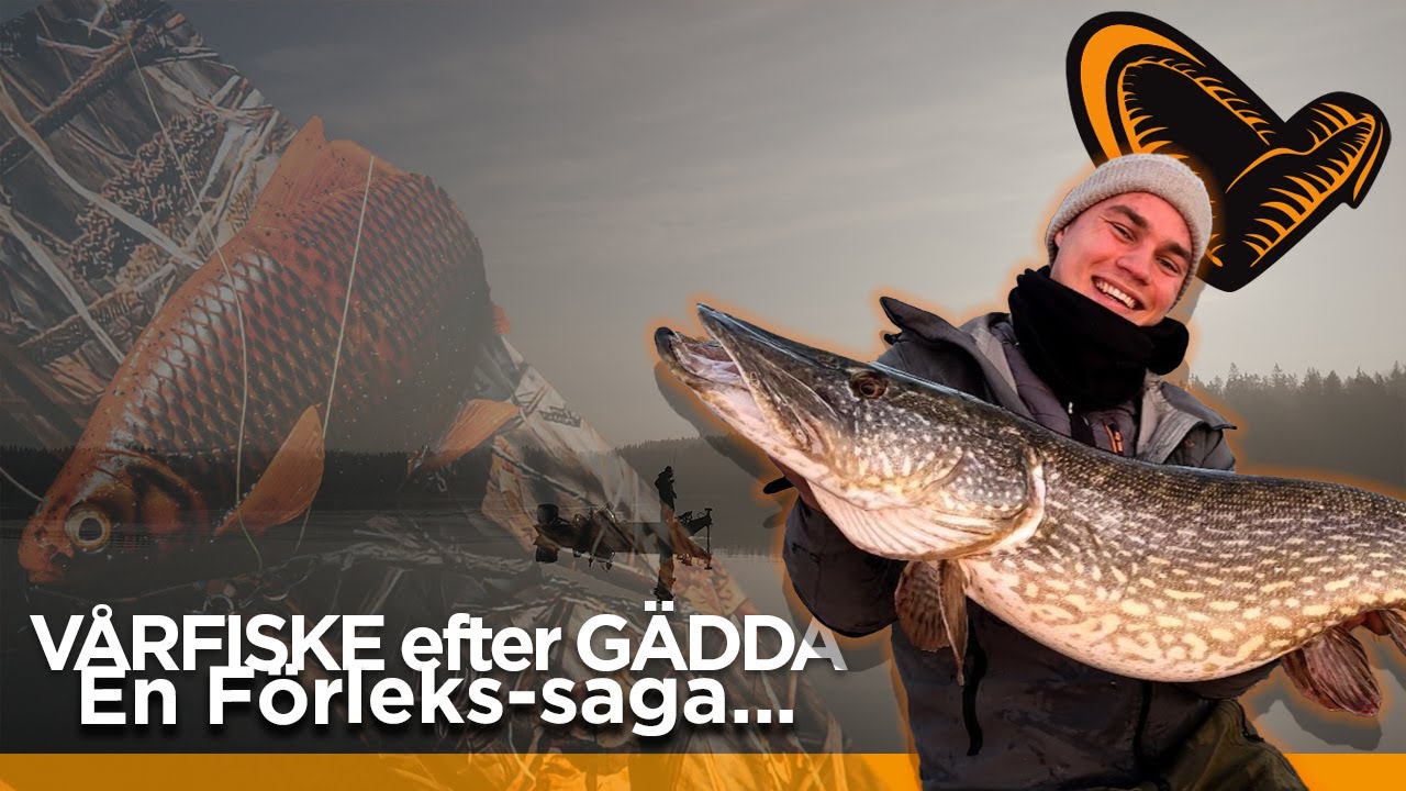 VÅRFISKE efter GÄDDA - Grundläggande Strategi & Tips
