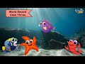 Underwater Math: Comparing and Ordering Decimals