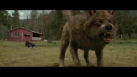 Twilight werewolves but with zombies 2 music (flesh and bone)