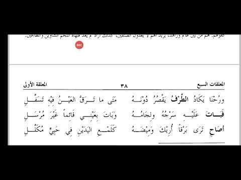 شرح معلقة امرئ القيس 70 الأستاذ السيد محمد بن مصطفى السقاف