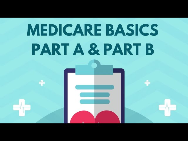 Medicare Basics: Part A and Part B