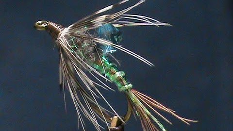 Beginner Fly Tying a Disco Nymph with Jim Misiura