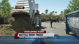 Battle continues over pine trees in neighborhood