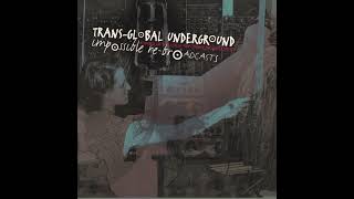 Transglobal Underground - The Khaleegi Stomp (Thievery Corporation Remix)