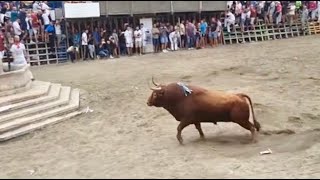 💥TORAZO DE MARÍA GASCÓN 💯 SEGORBE (Castellón)