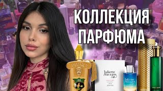 видео: КОЛЛЕКЦИЯ ПАРФЮМА | НОВИНКИ И ФАВОРИТЫ ДУХОВ картинка: КОЛЛЕКЦИЯ ПАРФЮМА | НОВИНКИ И ФАВОРИТЫ ДУХОВ