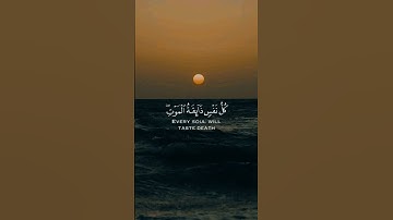 15 ثانية فقط لا تتجهلها.......... #عبدالرحمن_مسعد #عبدالرحمن_مسعد_تلاوة_جديدة