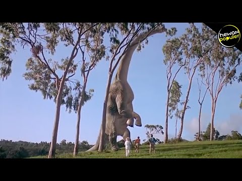 Video: Apakah brontosaurus hidup?