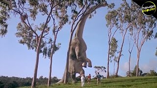 10 Dinosaurus Terbesar Yang Pernah Hidup Di Muka Bumi