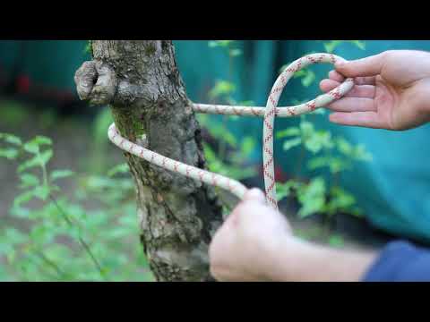 Беседочный узел(Булинь)-привязка веревки к опоре/Arbor knot(Bowline) - for tying a rope to a support