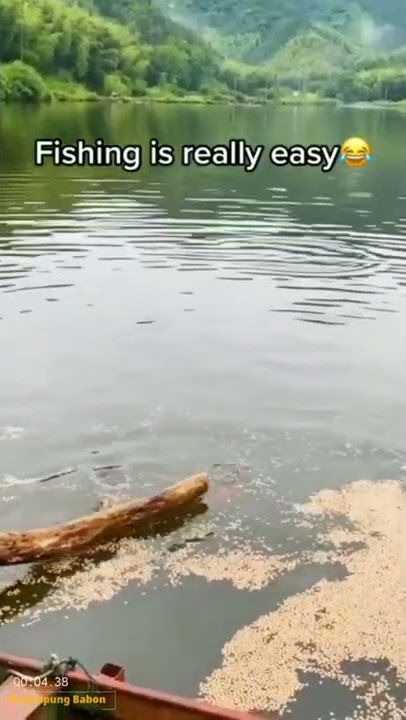 Fishing is Really Easy and Simple || UNIQUE FISHING  #uniquefish #amazingfish #ikanunik #shorts