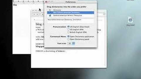 The Dictionary Panel