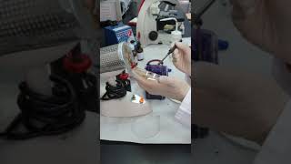 Negative Staining