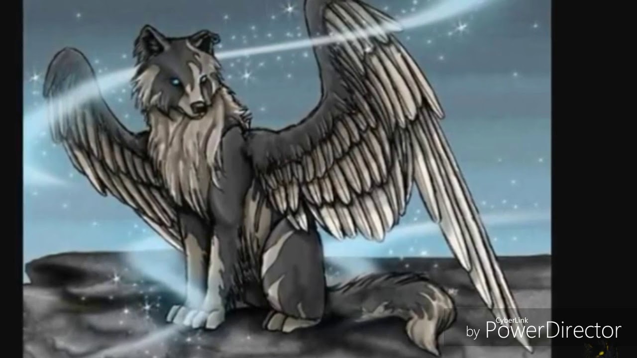Wolf angels. Симуран крылатый волк. Симаргл Симуран. Симуран демон. Симуран Славянская мифология.