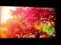 茜沢ユメル 「Stay〜さくらの花のように」 テレビ東京 オンエアー