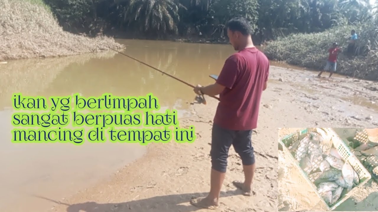 Mancing ikan di Sungai buloh