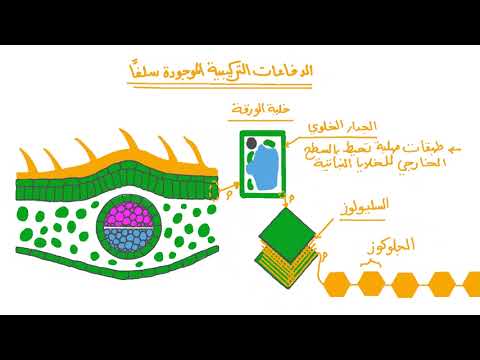 دفاعات النبات ضد مسببات الامراض احياء تالتة ثانوى الفصل الرابع المناعة نجوى ليمتد