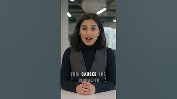 Your Brain on Deja  Vu