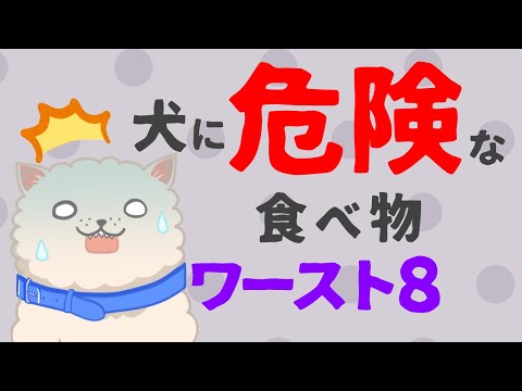 絶対ダメ！犬に食べさせてはいけない8つの危険な食べ物