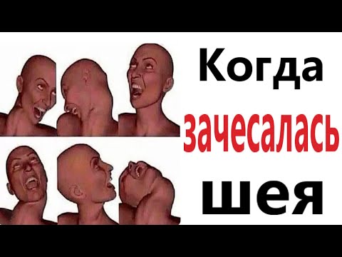 Видео: ПРИКОЛЫ! КОГДА ЗАЧЕСАЛАСЬ ШЕЯ - МЕМЫ!!! Смешные видео – Доми шоу!