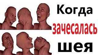 видео: ПРИКОЛЫ! КОГДА ЗАЧЕСАЛАСЬ ШЕЯ - МЕМЫ!!! Смешные видео – Доми шоу! картинка: ПРИКОЛЫ! КОГДА ЗАЧЕСАЛАСЬ ШЕЯ - МЕМЫ!!! Смешные видео – Доми шоу!