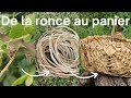 Comment prparer des clisses de ronces pour fabriquer des paniers  vannerie sauvage 2