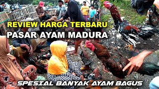 Bangkok Chicken Market And Village Chicken Market Which Are Always Crowded  Lots Of Good And Che