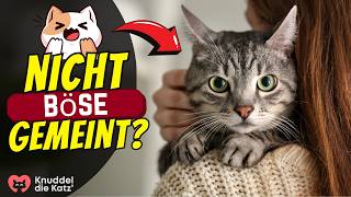 Woher wissen Katzen, dass wir DAS nicht böse meinen?