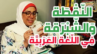 افتتاح نادي العربية للغزل والنسيج بالإسكندرية ولقاء مع كابتن علاء طلبة