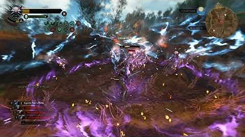 Witcher 3 - Ghost Mode - God Griffin build