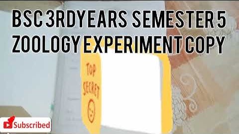 ||Bsc 3rd year semester 5th Zoology experiment copy ☑️||Bsc 3rdyear Zoology practical file 🗃️||