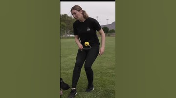 Play Development with Detection Dogs #dog #nosework #detectiondogs #scentwork #dogtrainer