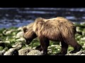 Alaska wild expedition episode 1