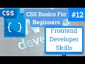 CSS Basics For Beginners | Front End Developer Skills | Understanding CSS