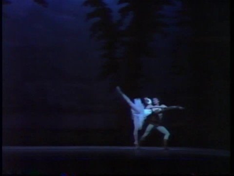 "Swan Lake" Part 7 Makarova & Ivan Nagy (Pas de De...