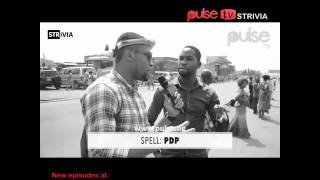 Pulse247. Videos