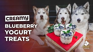 Homemade Treats For Dogs DIY Easy Yogurt Summer Parfait | HUSKY SQUAD