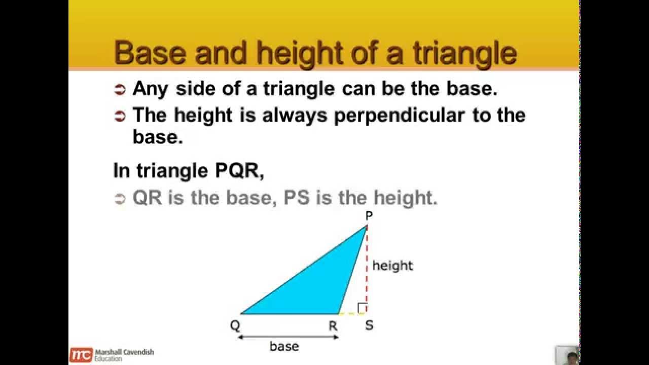 Triangle base. Base of triangle. Area of right triangle. Area of right triangle. Base of triangle.