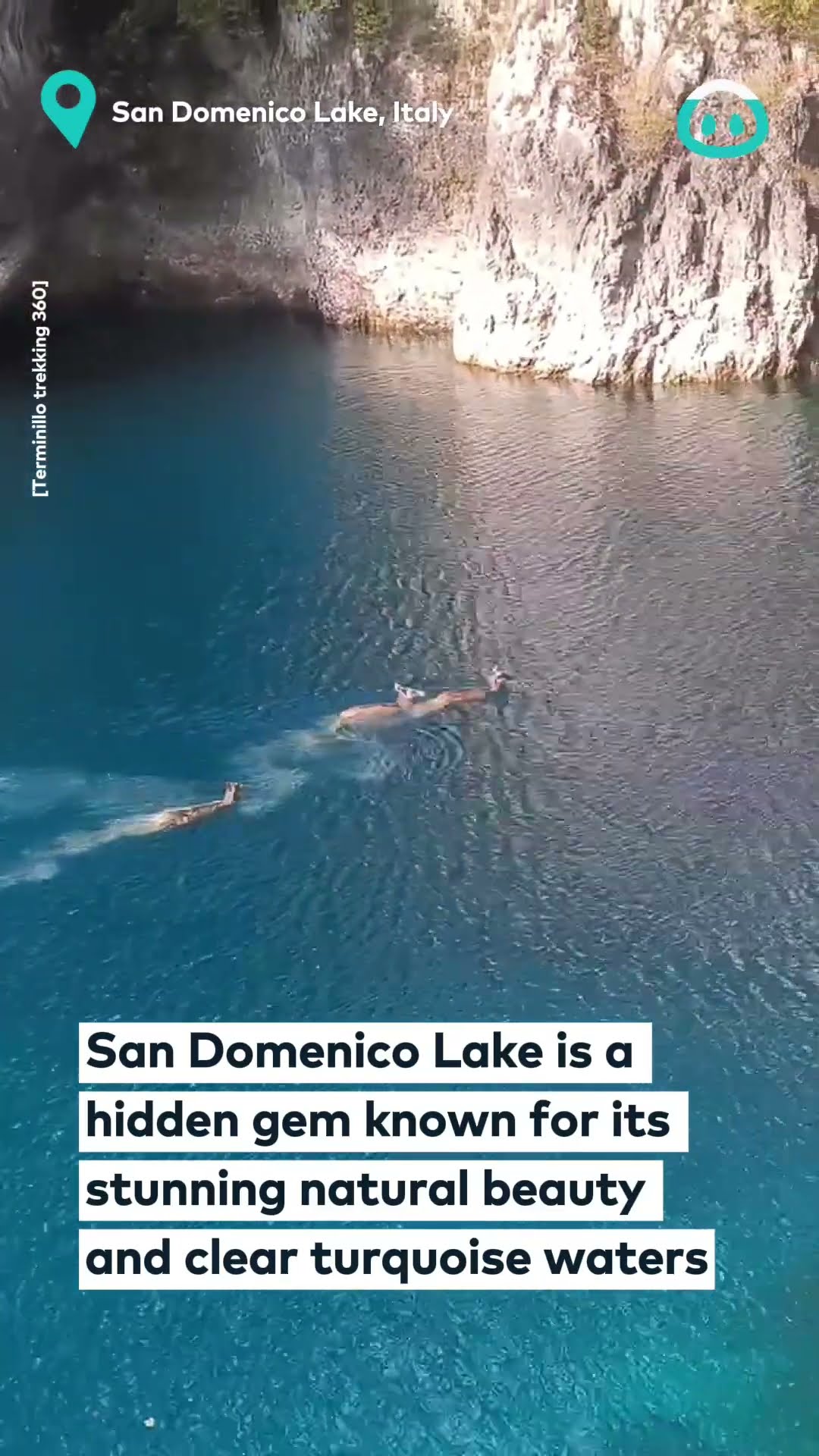 Deer Dives In Lake || ViralHog