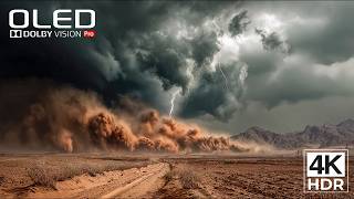 BREATHTAKING HDR DISPLAY TEST | Dolby Vision 120FPS (16K / 8K / 4K TV)