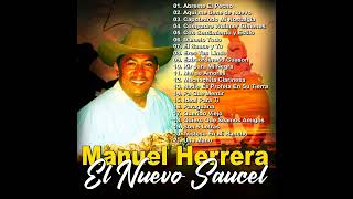 20  Manuel Herrera El Nuevo Saucel   Tristesa En Mi Rancho